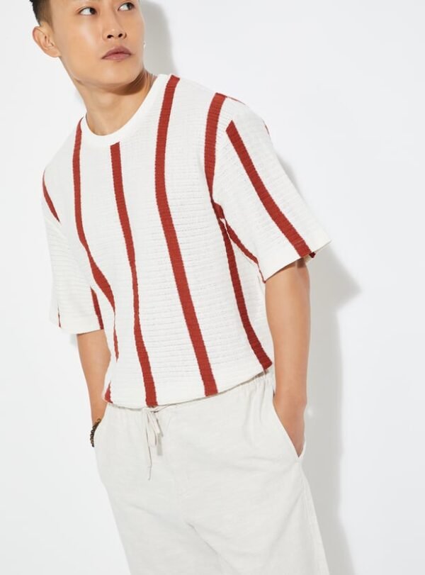 URB_N Men Striped Oversized T-shirt