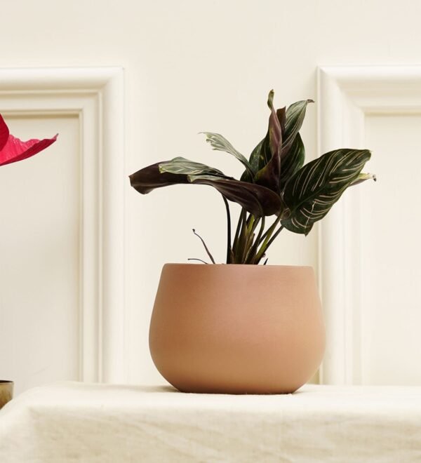 Mesa Rose Gold Terracotta Desk Pot,